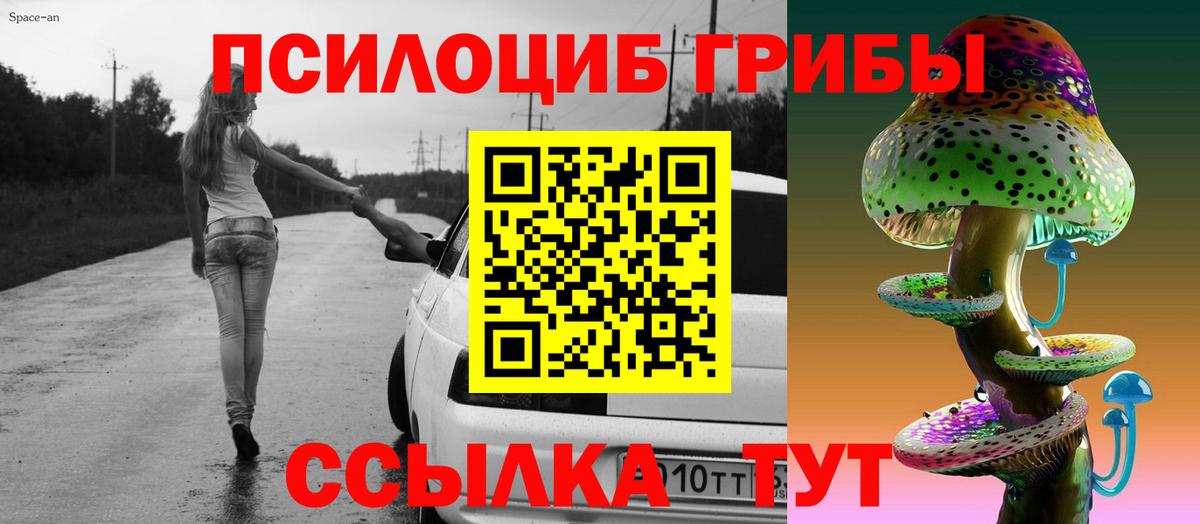 Псилоцибиновые грибы Psilocybine cubensis  Псилоцибиновые грибы Psilocybe  Вход с VPN  Обь 