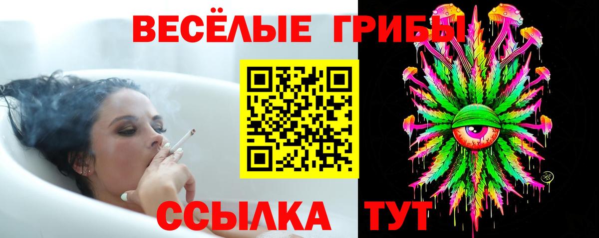 Галлюциногенные грибы прущие грибы Обь